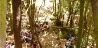 El Campamento de El Cedro recibirá más de 250 participantes este verano