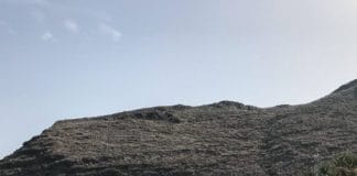 El Ayuntamiento invita a unirse a la limpieza de la playa de San Sebastián que se realiza este jueves