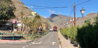 El Cabildo y los vecinos de El Calvario acuerdan buscar una solución técnica que evite la tala del laurel