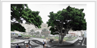 El movimiento vecinal se «alegra» de la rectificación del Cabildo y Ayuntamiento con la tala del laurel