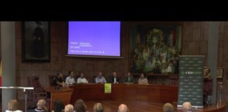 La Gomera se convierte este fin de semana en un escaparate para promocionar sus productos en el ‘I Festival Enogastronómico’