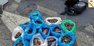 La Guardia Civil intercepta a dos personas en La Gomera con 63 kg de pescado capturados en su mayoría de forma ilegal