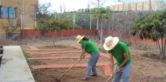La Gomera y El Hierro, sin Formación Profesional Adaptada