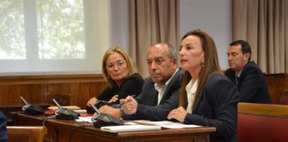 El PSOE da su apoyo al Régimen Económico y Fiscal de Canarias