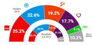 Vox obtendría el 5,1% de los votos según una encuesta de Metroscopia