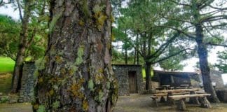 El Cabildo de La Gomera levanta la prohibición de hacer fuego en la zona recreativa de Las Nieves