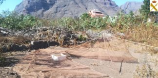 La Guardia Civil sorprende a un varón capturando ilegalmente aves fringílidas en Valle Gran Rey