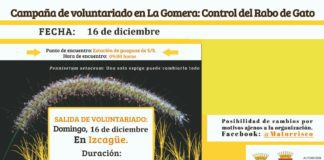 Continúa la ‘Campaña de voluntariado en La Gomera: control del Rabo de Gato’ este domingo