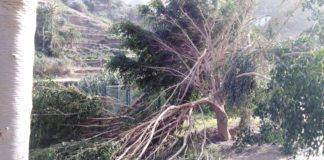 Vallehermoso evalúa los daños causados por el temporal de viento de los últimos días