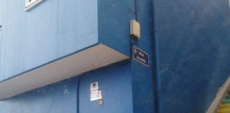 El sentir gomero de Taco