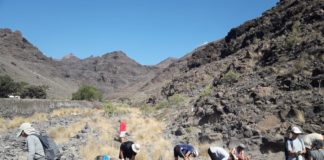 El Cabildo agradece la labor de las entidades de voluntarios que prestan servicios en la Isla