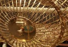 79432, el Gordo de la Lotería de Navidad