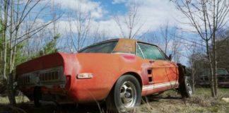 Descubierto uno de los Mustang más caros de la historia abandonado en un campo