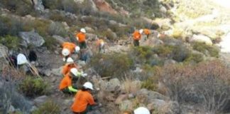 El Cabildo gomero destina 500 mil euros a la mejora de plazas, playas y miradores