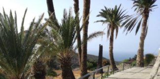 Sí se puede se congratula por las mejoras de las condiciones de acceso en Aldama