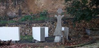 Sí se puede cuestiona la tala de árboles del Parque Infantil de Vallehermoso