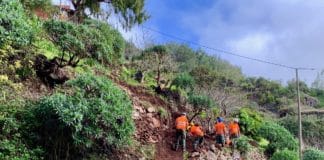 3 millones de euros y más de 200 empleos para actuaciones de recuperación de los bancales de La Gomera