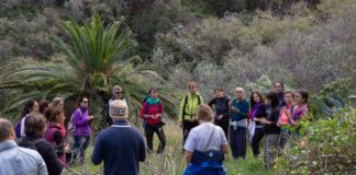 Los ayuntamientos canarios avalan una desescalada «homogénea» para que las islas entren el próximo lunes en la nueva normalidad