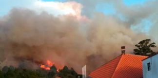 El Gobierno de Canarias activa la alerta por temperaturas máximas y riesgo de incendios