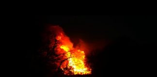 Un barco de Fred. Olsen regresa a Tenerife desde La Gomera para recoger a los efectivos de la UME y llevarlos a La Palma