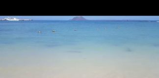 Prohibido el baño en una playa de Corralejo ante la aparición de varios tiburones