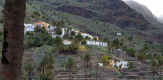 El Banco Insular de Tierras de La Gomera, promovido por el Cabildo, activa el uso de las primeras parcelas