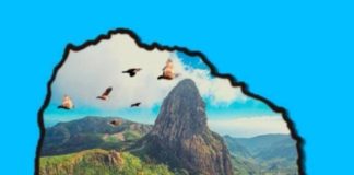 Nace la Asociación para la Gestión Cinegética de La Gomera