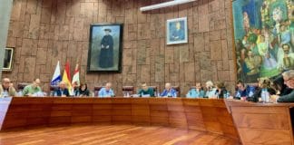 El Pleno insular respalda la adhesión de La Gomera a la Estrategia de Promoción de la Salud