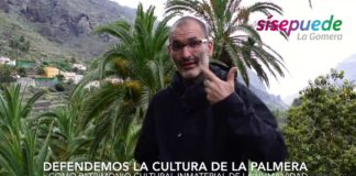 Sí se puede presenta una moción en el Cabildo para convertir la cultura de la palmera en Patrimonio Cultural Inmaterial de la Humanidad