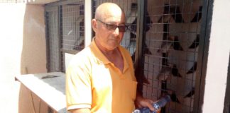 Clasificaciones Grupo Colombófilo Gomera