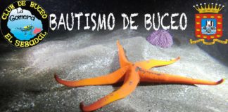 San Sebastián acoge este fin de semana un nuevo bautismo de buceo en la zona de Tecina