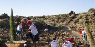 Cruz Roja pone en marcha un proyecto para la conservación y mejora de los Parques Nacionales del Teide, la Caldera y Garajonay