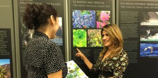 Periodistas especializados en turismo visitan La Gomera para su promoción