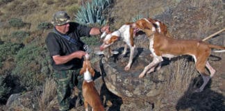 El Cabildo gomero autoriza la apertura de cinco campos de entrenamiento y adiestramiento de perros de caza