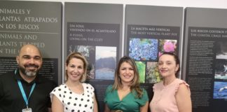 La Gomera refuerza las acciones promocionales en el mercado canario