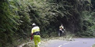 La Gomera renueva el servicio de mantenimiento de carreteras durante un año