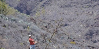 Una semana para el comienzo del mejor golf en Tecina Golf