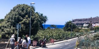 El Ayuntamiento acomete trabajos de mejora en Laguna de Santiago