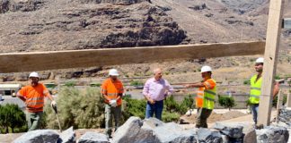 Curbelo anuncia un nuevo programa de recuperación de bancales