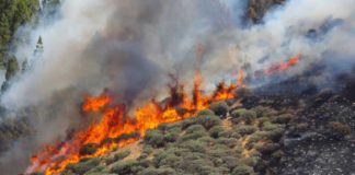 Las anómalas temperaturas instalan a Canarias este martes en riesgo extremo de incendio forestal