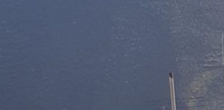 Extinguido un conato de incendio que se produjo este lunes en La Gomera