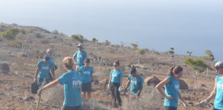 El Cabildo acerca el proyecto ‘Plántate’ a los alumnos universitarios de Ruta Siete