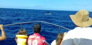 ‘La ‘Ruta Interpretativa sobre la cultura de la pesca en Playa de Santiago’ tendrá lugar este miércoles