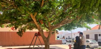 Reyes visita La Gallarda para planificar las próximas actuaciones