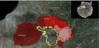 El incendio de Gran Canaria comienza a remitir tras quemar más de 10.000 hectáreas