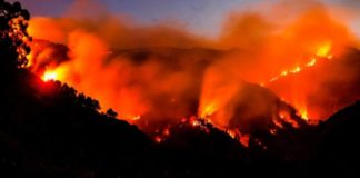 El Gobierno declara Alerta Máxima por Riesgo de Incendios en El Hierro, La Palma, La Gomera, Tenerife y Gran Canaria