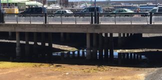 El PSOE urge a acabar con el foco de insalubridad que suponen las aguas estancadas en la desembocadura del barranco de la Villa