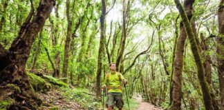 El Cabildo ejecuta más de medio centenar de actuaciones para la protección y mejora del medioambiente