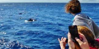 Televisiones y periodistas europeos visitan La Gomera para nuevas acciones promocionales