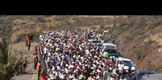 Masiva participación en la Bajada de El Paso de Alajeró